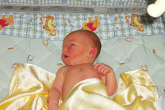 Braeden